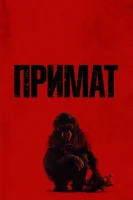 Примат смотреть онлайн (2025) бесплатно в HD