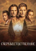 Сверхъестественное смотреть онлайн сериал 1-15 сезон бесплатно в HD