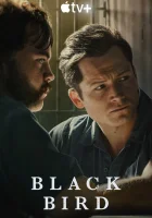 Чёрная птица смотреть онлайн сериал 1 сезон бесплатно в HD